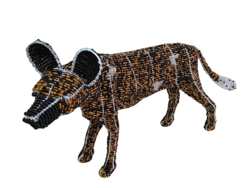 Wild At Art Wild Dog