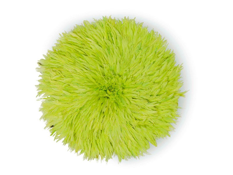 Juju Feather Hat Lime Green Juju Feather Hat Lime Green
