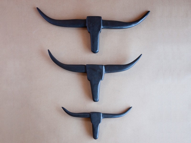 Nguni Head Nguni Head