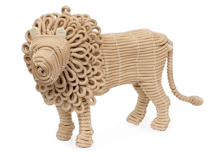 Africa in Colour Lion Africa in Colour Lion