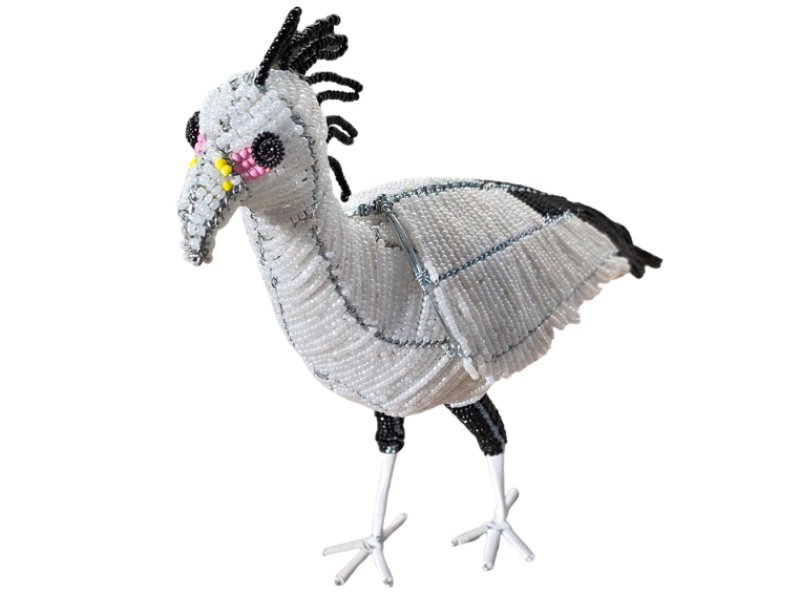 Secretary Bird Front
