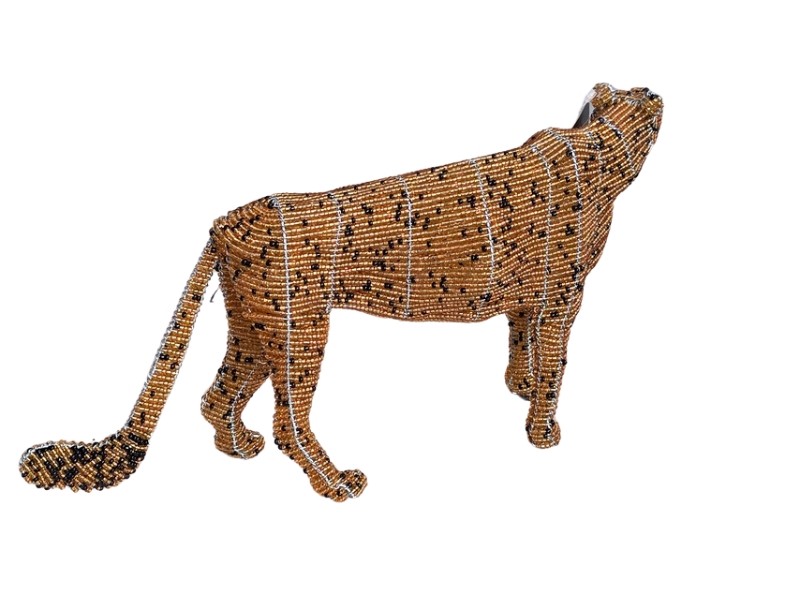 Cheetah back