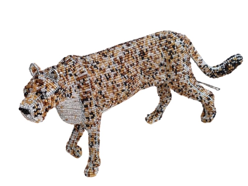 Leopard front