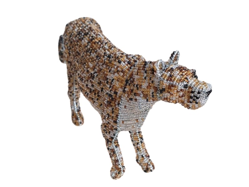 Leopard side