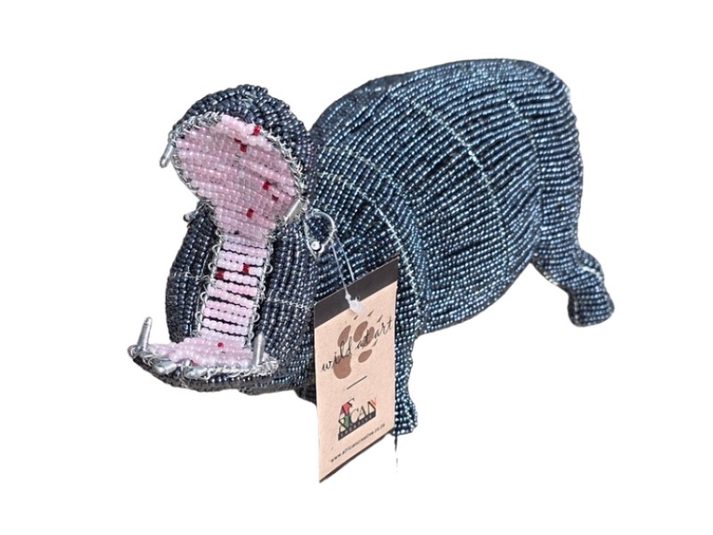 Hippo front
