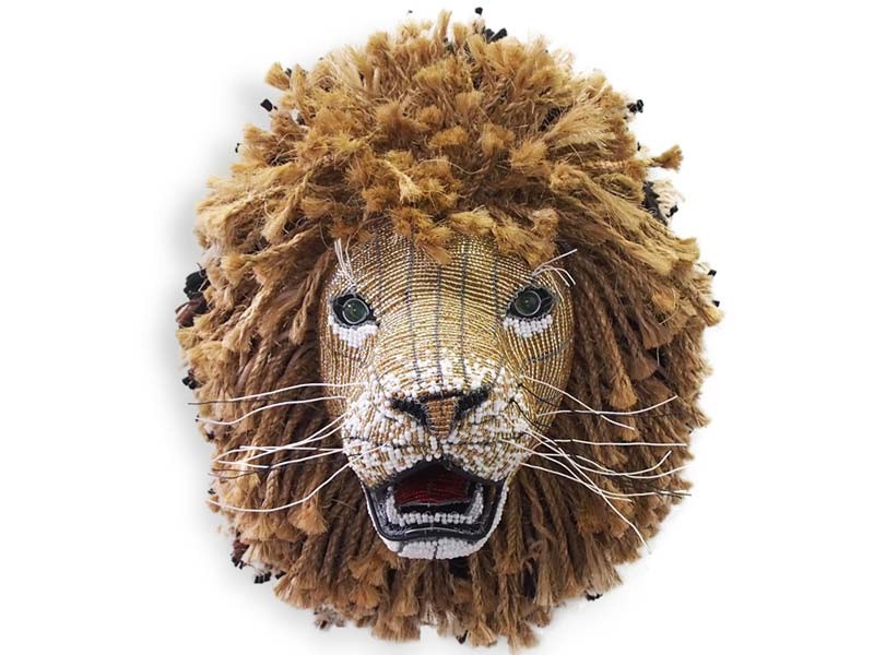 Lion Front View Lion Front View