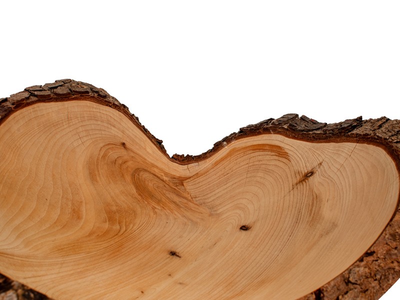 Close up of wood grain Close up of wood grain