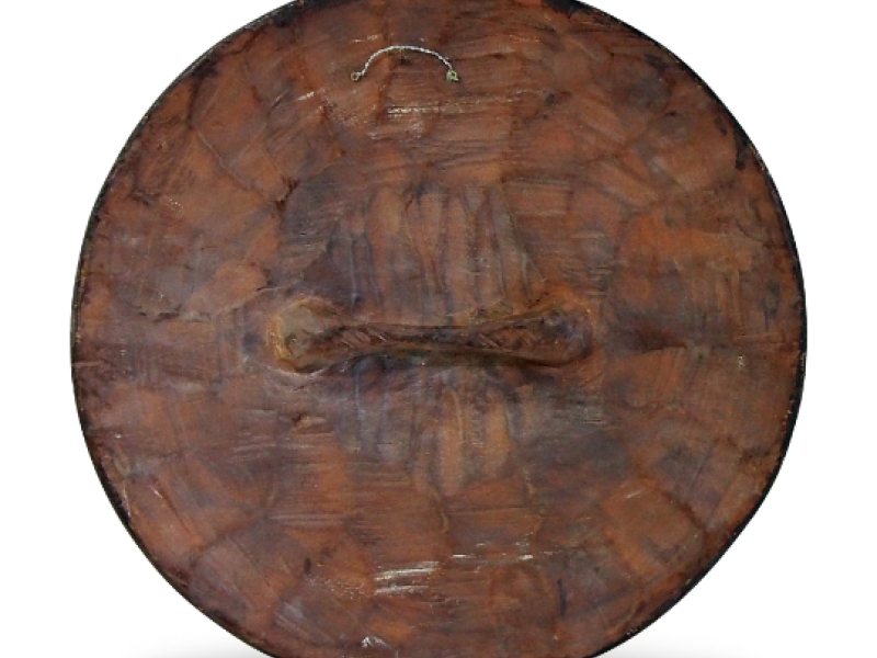 Back of Shield Back of Shield