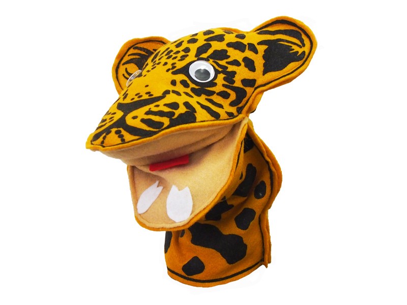 leopard front leopard front