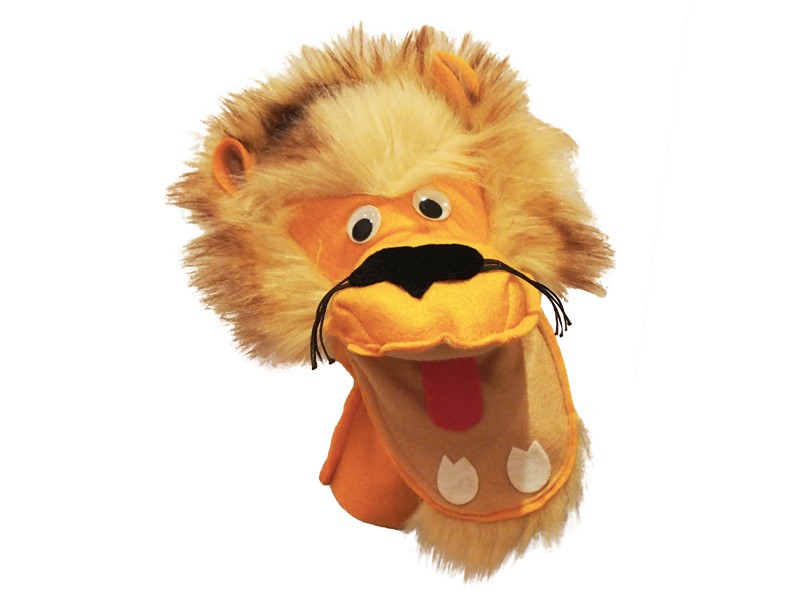 lion front lion front