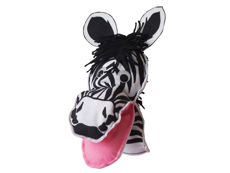 zebra front zebra front
