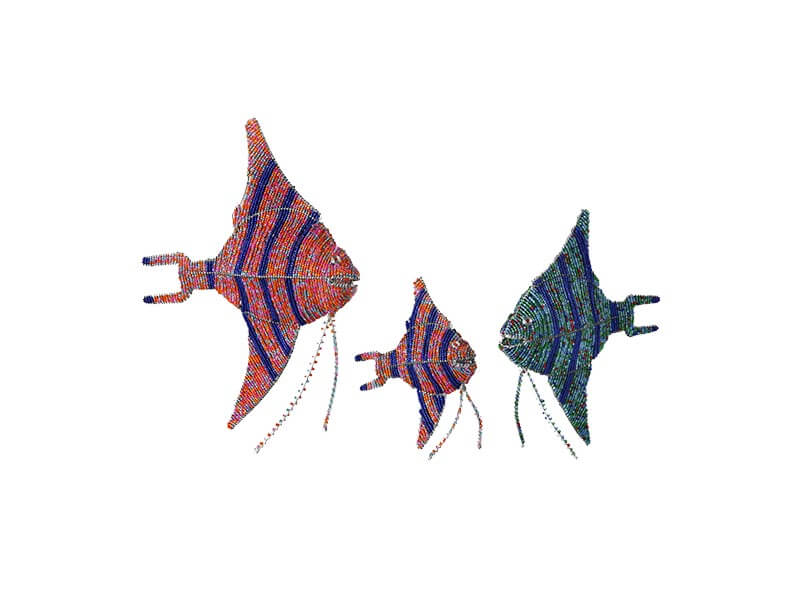 Allsorts Collection Angel Fish Allsorts Collection Angel Fish