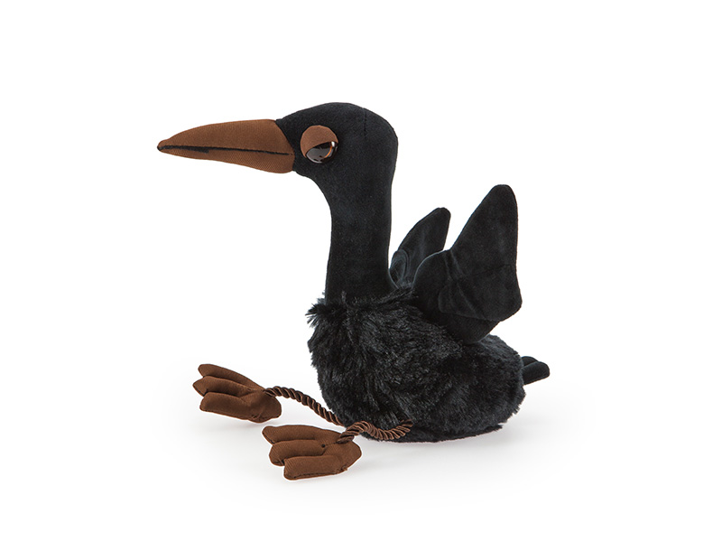 Bank Cormorant Bank Cormorant