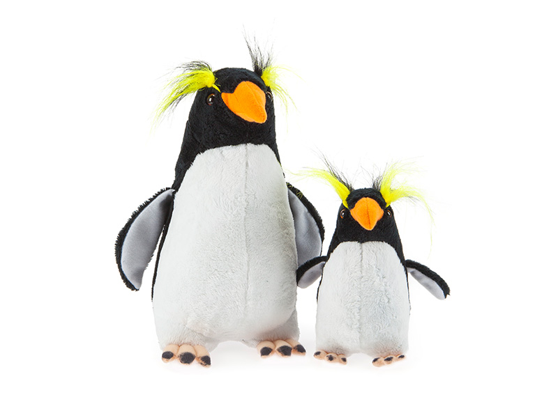 Rockhopper Penguin Rockhopper Penguin